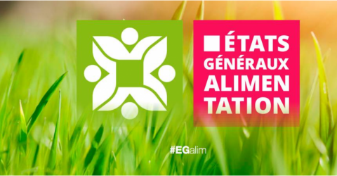 EGA