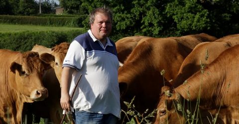 JBM vaches